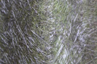 Calverhall fibreglass roof work